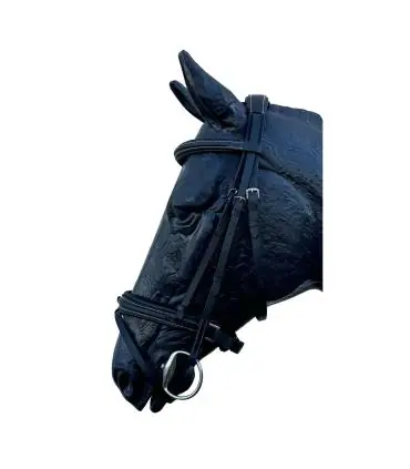 Prix Cassé Bridon Happiness avec muserolle pull-back - JMR