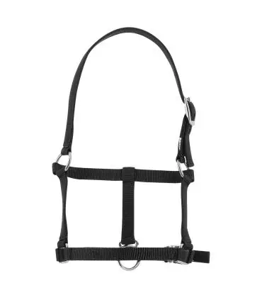 Bon Plan Licol nylon poulain RIDING WORLD