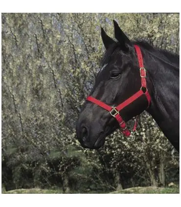 Pas Cher Licol nylon RIDING WORLD