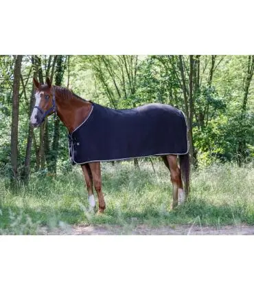 Chemise polaire RIDING WORLD - Basique Remise