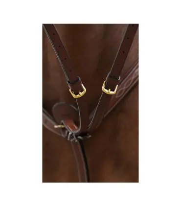 Fourchette de martingale classique pour un encadrement régulier du cheval Jusqu'à Épuisement Des Stocks