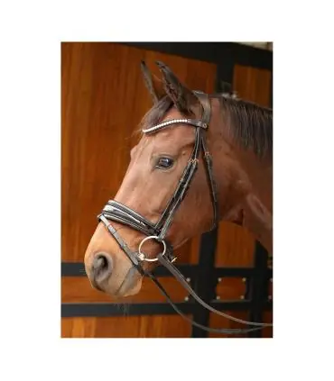 Bridon Rosegold Lacque – Bridon anatomique luxe Bon Plan