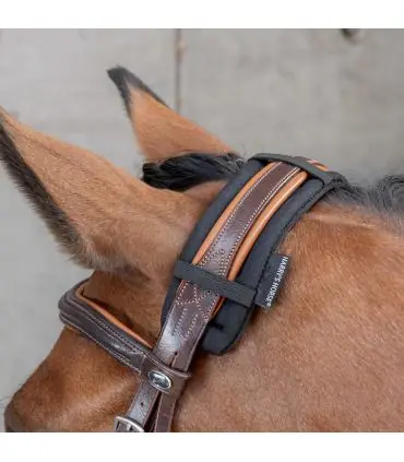 Protection de têtière cheval en néoprène Commande En Gros