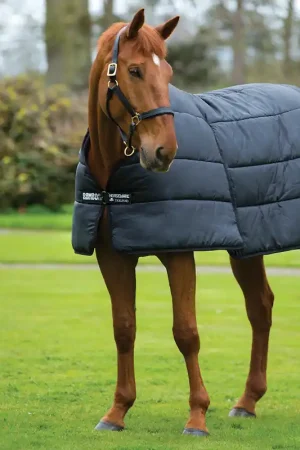 Achat Immédiat Horseware Rambo Optimo Liner 100g - black , 160