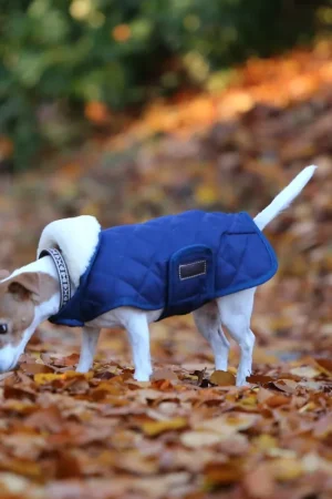 Prix Réduit Kentucky Dogwear Hundedecke Dog coat 160g - Navy , XXS