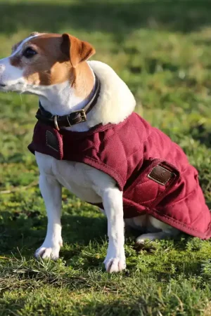 Kentucky Dogwear Hundedecke Dog coat 160g - Bordeaux , XL Prix Promo