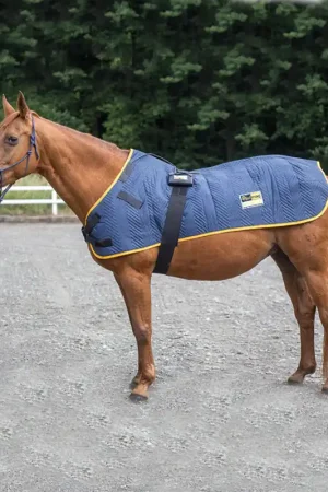 Acheter Direct equimag expert Deckenapplikator