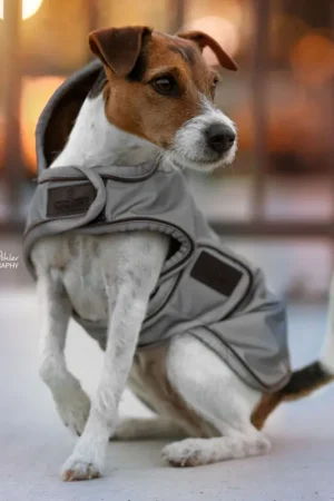 Acheter Direct Kentucky Dogwear Hundedecke Dog Coat Reflection Water Repellent - silver , L