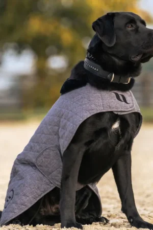 Produit De Marque Back on Track Haze Collection Hundemantel - grau , 30