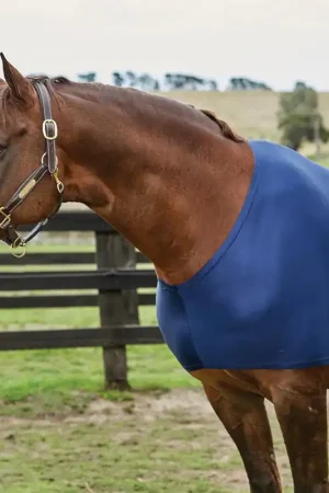 Weatherbeeta Stretch Schulterschutz - navy , S Meilleure Vente