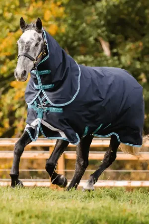 Achat Immédiat Horseware Amigo Bravo 12 Plus Turnout Medium 250g - Black/Titanium Grey/Silver, 165