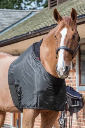 Affaire À Saisir LeMieux Anti-Rub Bib - Black, S
