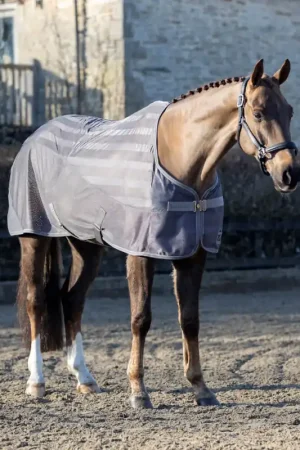 Commander Maintenant LeMieux Arika Air-Tek Rug - Navy, 175