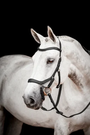 Acheter Direct Horseware Micklem II Competition Bridle mit Zügel - Dark Havana, großes Warmblut