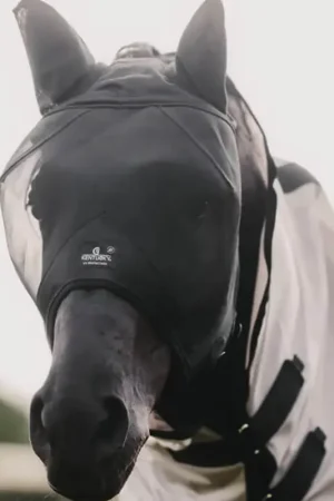 Super Prix Kentucky Horsewear Fliegenmaske Classic mit Ohrenschutz - Silber, Pony