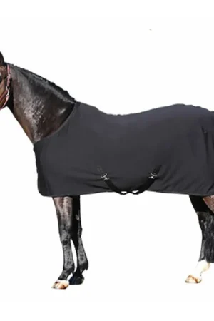 Acheter Direct Euroriding Dry Easy Abschwitzdecke - schwarz, 165
