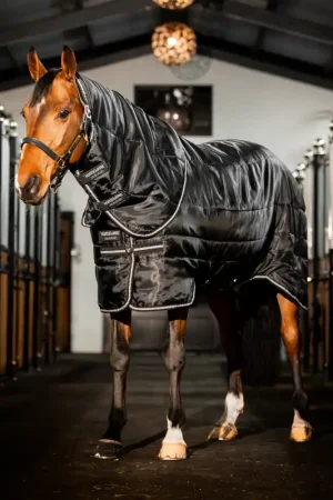 Vente Flash Horseware Easy-Layer Stable Plus Med 200g - Black/Black/Silver, 165