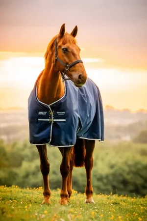 Achat Immédiat Horseware Amigo Ripstop 900D Turnout 200g - Navy/Titanium Grey, 155