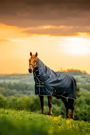Vente Flash Horseware Amigo Ripstop 900D Plus Pony Turnout 0g - Witney Navy, 95
