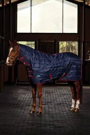 Achat Immédiat Weatherbeeta Comfitec 210D Channel Quilt Stable Combo Neck 220G - Navy/Burgundy, 165