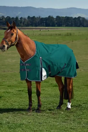 Achat Immédiat Weatherbeeta Comfitec Plus Dynamic Turnout 220g - Navy/Forest Green, 135