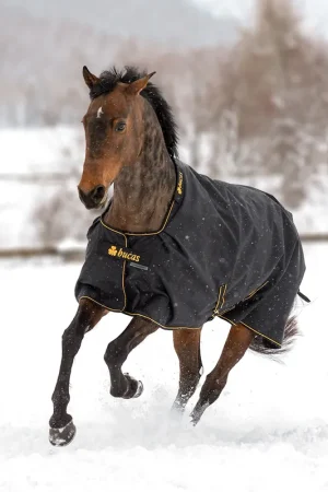 Achat Immédiat Bucas Irish Turnout Extra 300g Pony 1200D - noir/or , 95
