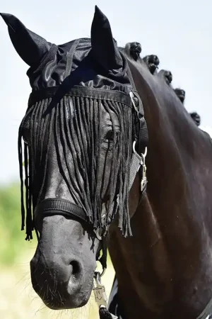 Achetez Aujourd'hui Bonnet protège-oreilles FLY PROTECTOR de Busse - noir - masque anti-mouches , poney , Kaltblut