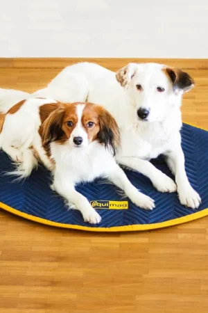 Acheter Direct equimag expert tapis petits animaux