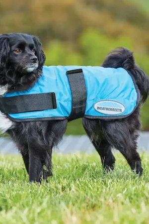 Weatherbeeta Therapy-Tec Cooling manteau pour chien - bleu Acheter Direct