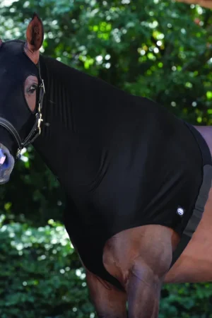 Weatherbeeta Stretch Hood with ZIP - Noir , S Dernier Modèle