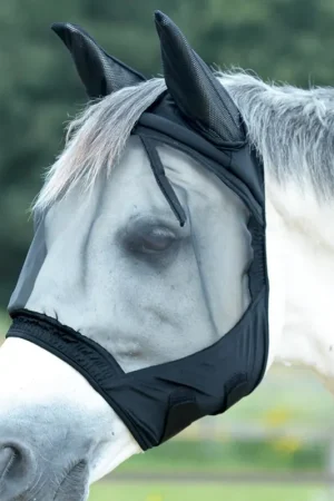 Acheter Direct Masque anti-mouches FLY BUCKLER GAP II de Busse - noir , petit poney , kleines Pony