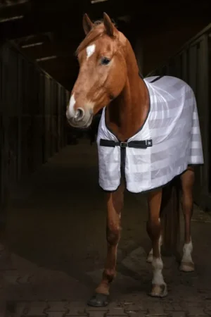 Achat Immédiat Equithème Couverture légère - Blanche , 125