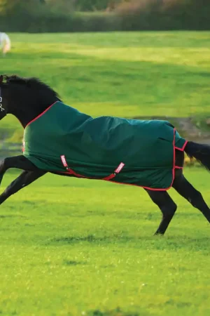 Achat Immédiat Horseware Rambo Original Turnout Lite 0g - Vert/Rouge , 115
