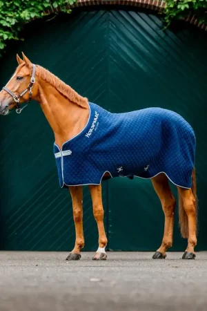 Achat Immédiat Horseware Couverture d'automne - Black/Aqua, 160