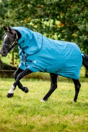 Acheter Direct Horseware Amigo Hero 900 Revive Plus 50g - Seasonal Colour, 115