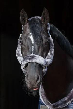 Vente Flash Bucas Show-Line Full Fur Halter - Navy/Grey, Cob