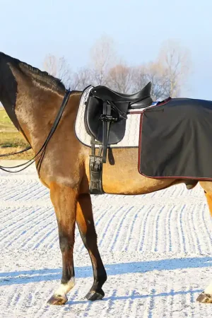 Couverture de reins Euroriding en softshell - schwarz, L Nouvel Arrivage
