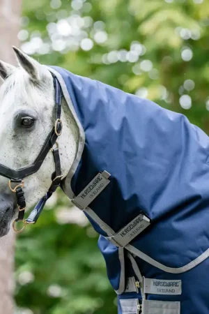 Vente Flash Horseware Amigo Ripstop 900 Hood 0g - Dynasty Green/Navy & Silver, XL