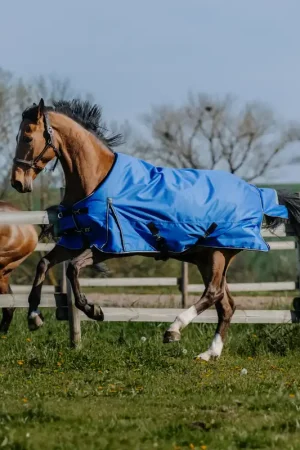 Achat Immédiat Couverture d’extérieur Equithème Tyrex Aisance 1200D 150g - königsblau, 135