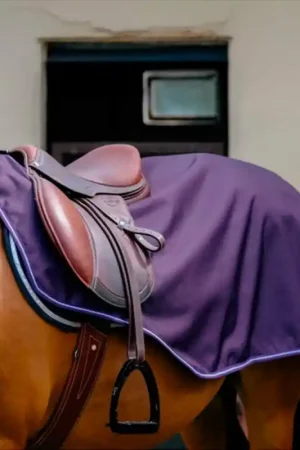 Réduction Couvre-reins Tyrex 600D polaire Equithème prune