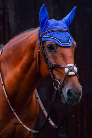 Livraison Express Bonnet chasse-mouches Domino Equithème bleu roi