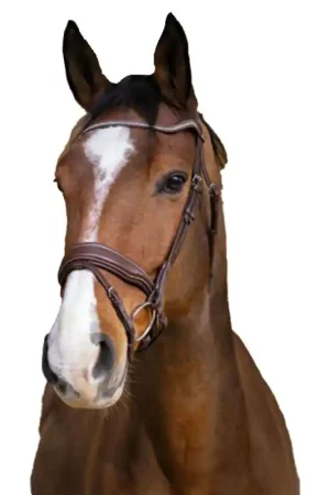 Bridon Miss Norton Pro havane Satisfait Ou Remboursé