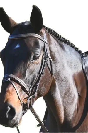Bridon One Carat havane Jump'in Prix Cassé