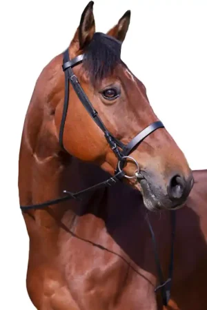 Bridon muserolle française Riding World noir Promotion Saisonnière