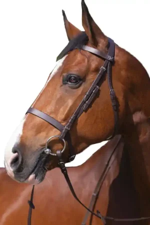 Bridon muserolle française Riding World havane Prix Choc