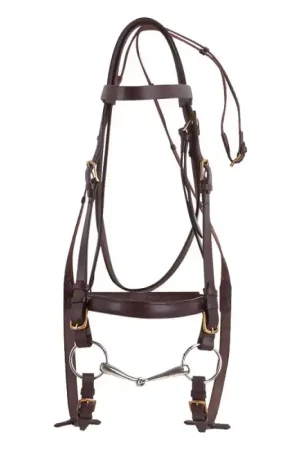 Bridon cheval de trait Norton Club havane Acheter Direct