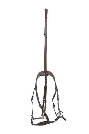 Remise Collier de Chasse 5 points avec martingale noisette Jump'in