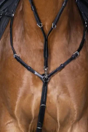 Jusqu'à Épuisement Des Stocks Collier de chasse Hybrid Éric Thomas noir