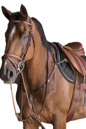 Collier de chasse Hybrid Éric Thomas havane Usine Directe