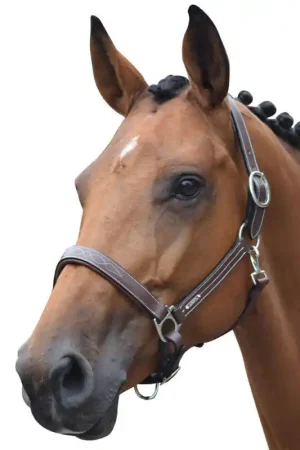 Licol Fancy One noisette Jump'in Prix Promo